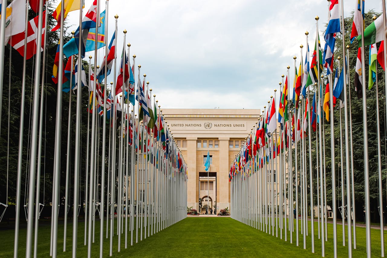 “Why is the UN not stopping the Genocide in Gaza?”
